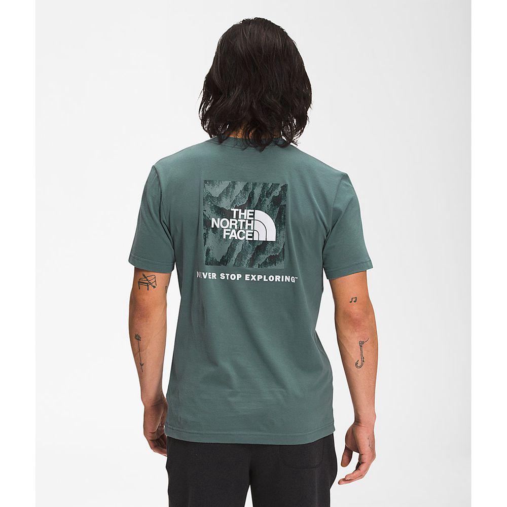 The North Face Κοντό Μανίκι Box Nse Ανδρικα T Shirt - Πρασινο (IDOF23058)